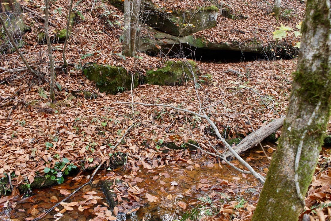 Autumn Ridge Tract 14 photo 10