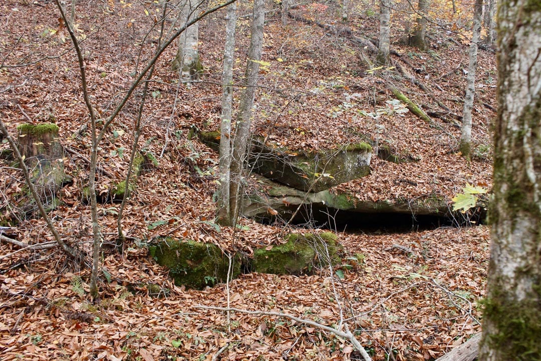 Autumn Ridge Tract 14 photo 12