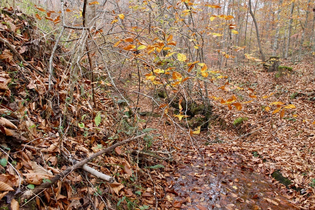 Autumn Ridge Tract 14 photo 13