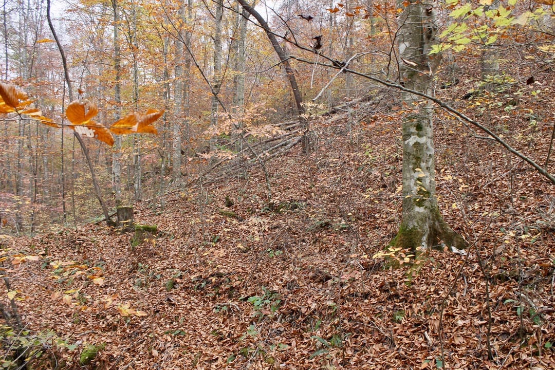 Autumn Ridge Tract 14 photo 14