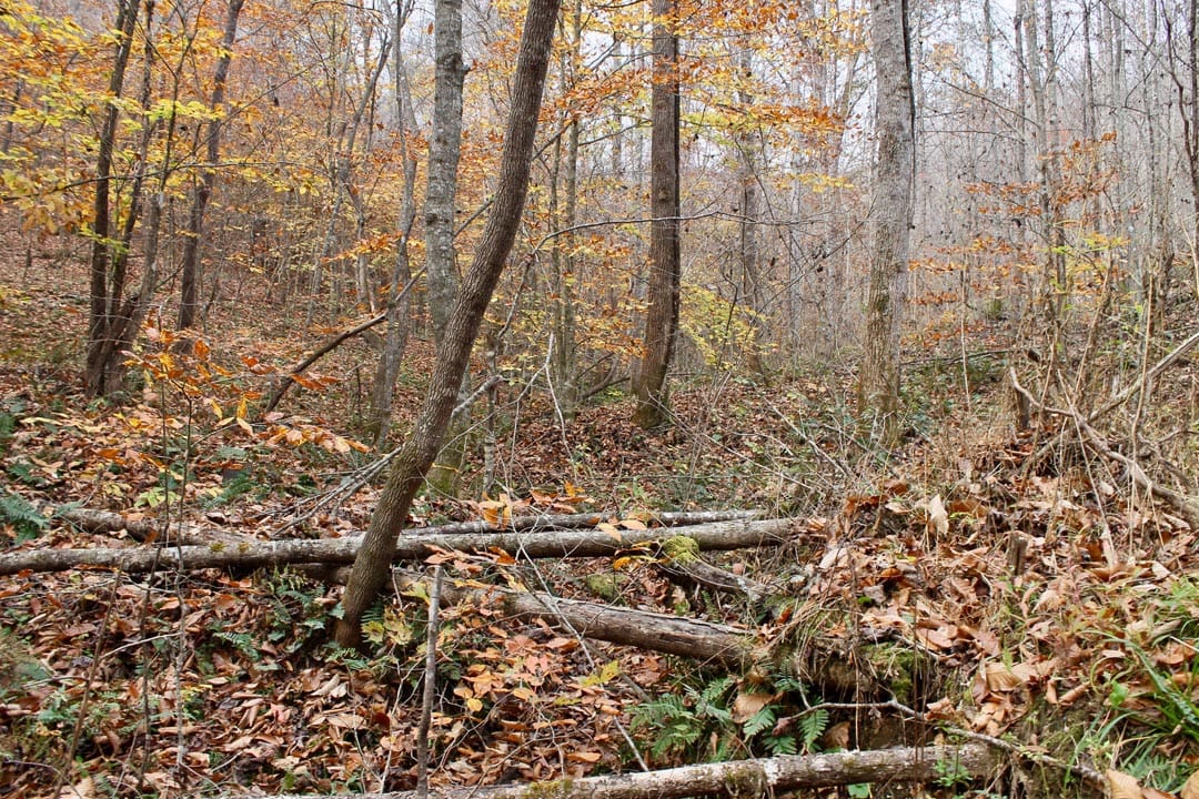Autumn Ridge Tract 14 photo 18