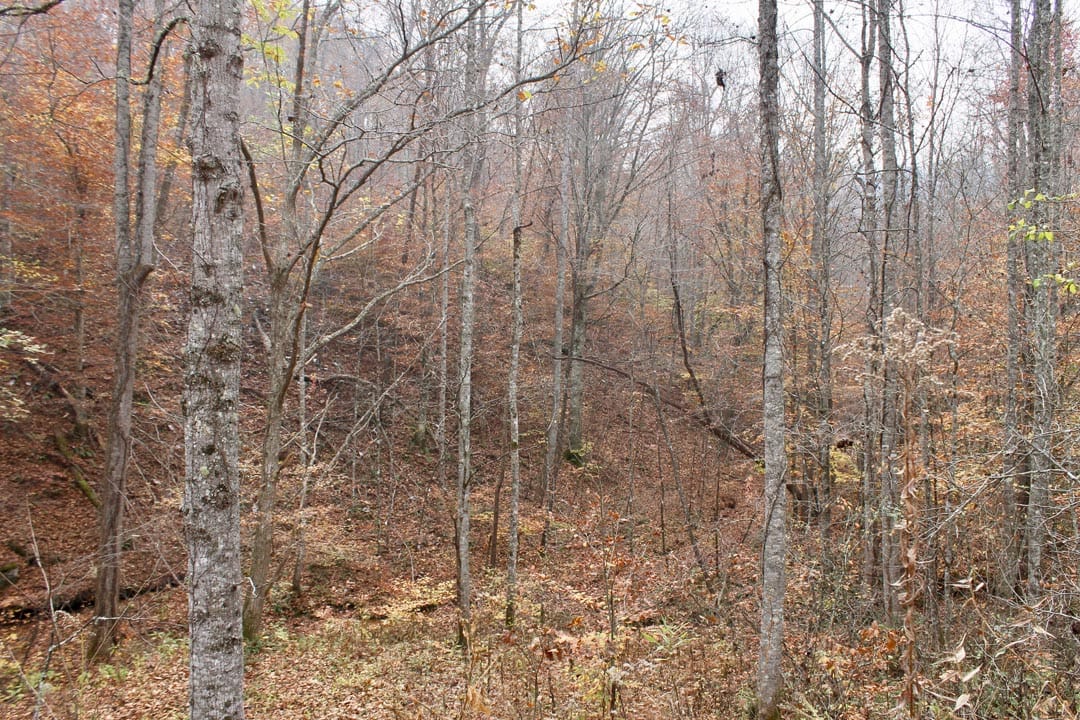 Autumn Ridge Tract 14 photo 21