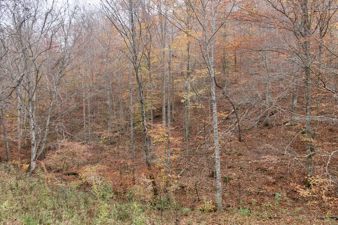 Autumn Ridge Tract 14 photo 22
