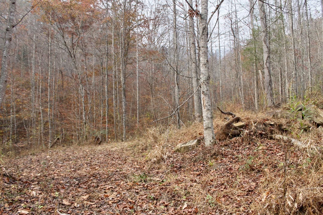 Autumn Ridge Tract 14 photo 23