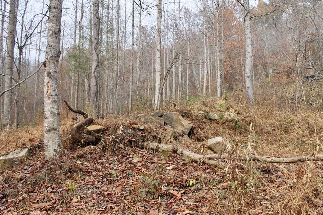 Autumn Ridge Tract 14 photo 24