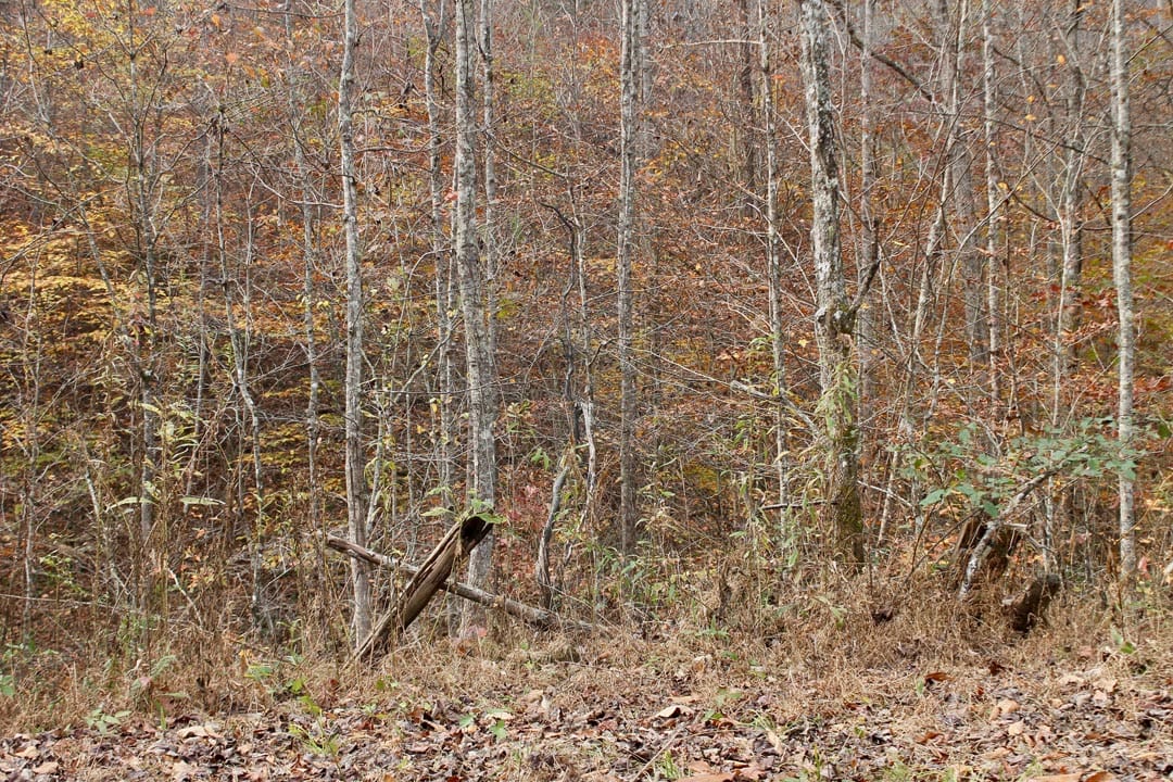 Autumn Ridge Tract 14 photo 26