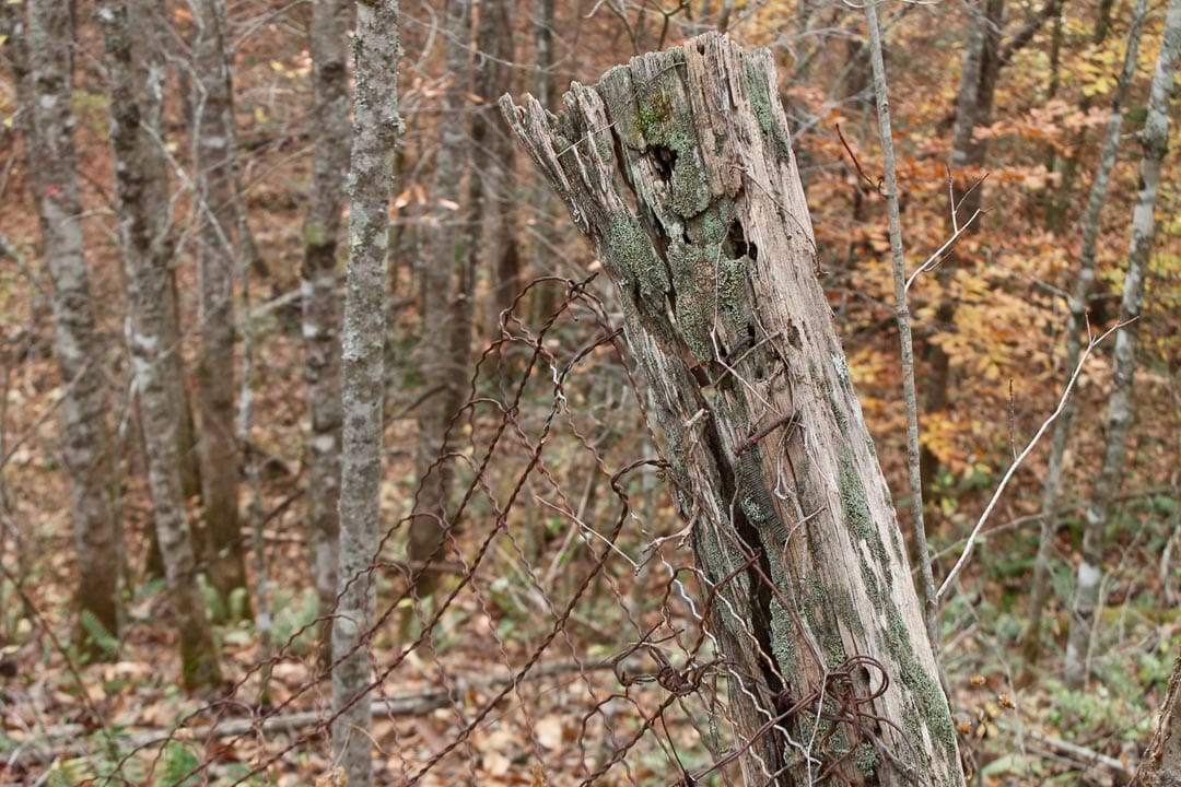 Autumn Ridge Tract 14 photo 29