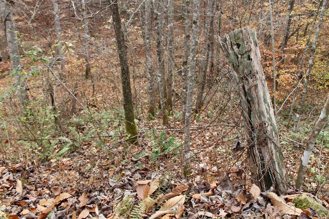 Autumn Ridge Tract 14 photo 30