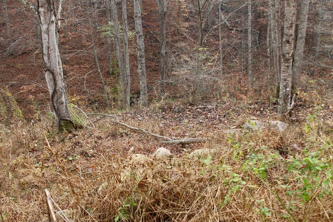 Autumn Ridge Tract 14 photo 31