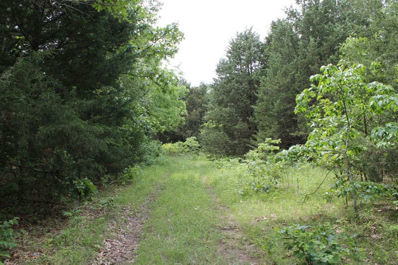 Cedar Ridge Ranch Tract 17 photo 1