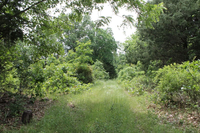 Cedar Ridge Ranch Tract 17 photo 2