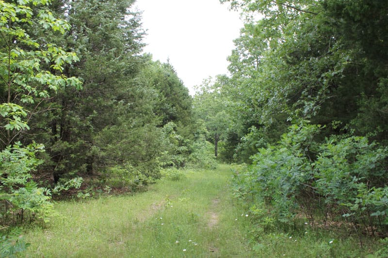 Cedar Ridge Ranch Tract 17 photo 6