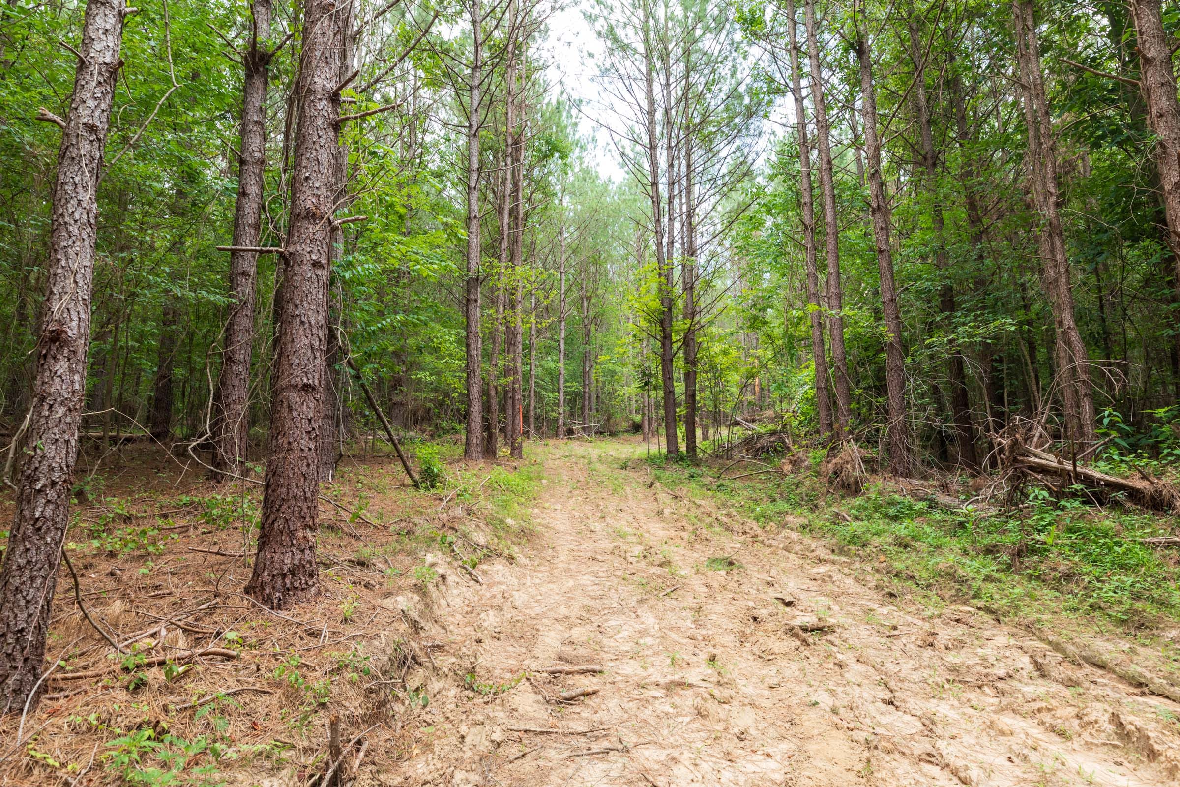Whiskey Ridge Tract 34 photo 2