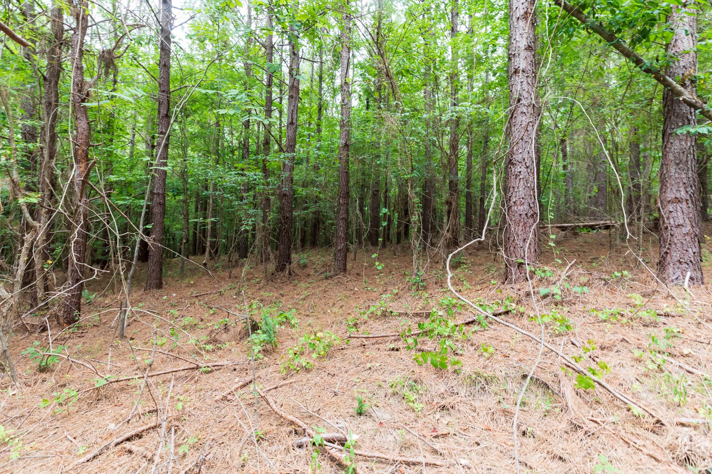 Whiskey Ridge Tract 34 photo 1