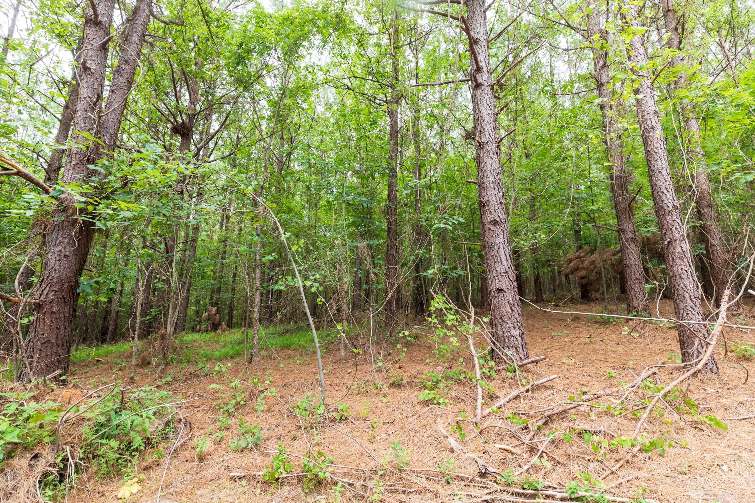 Whiskey Ridge Tract 34 photo 8
