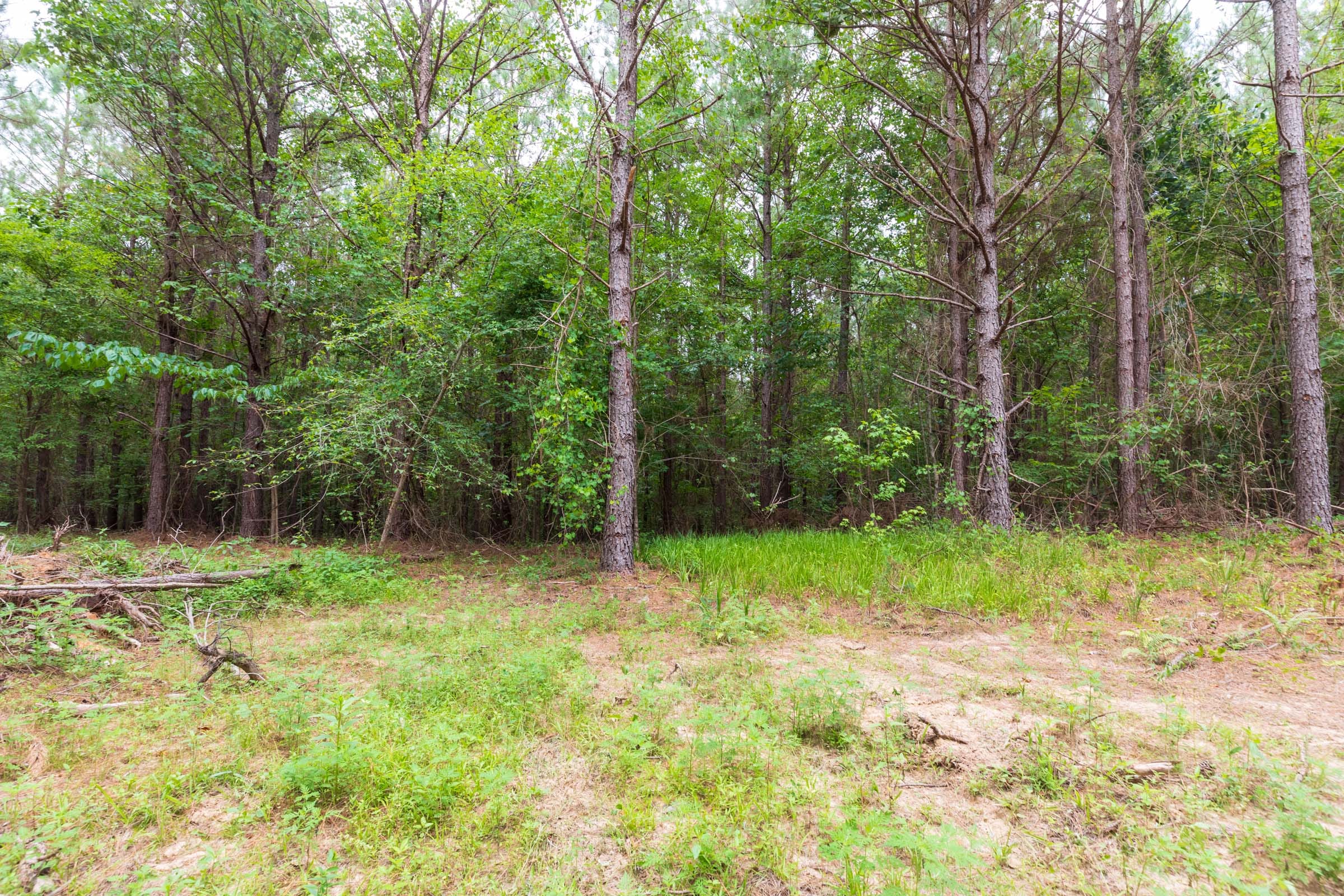 Whiskey Ridge Tract 34 photo 9