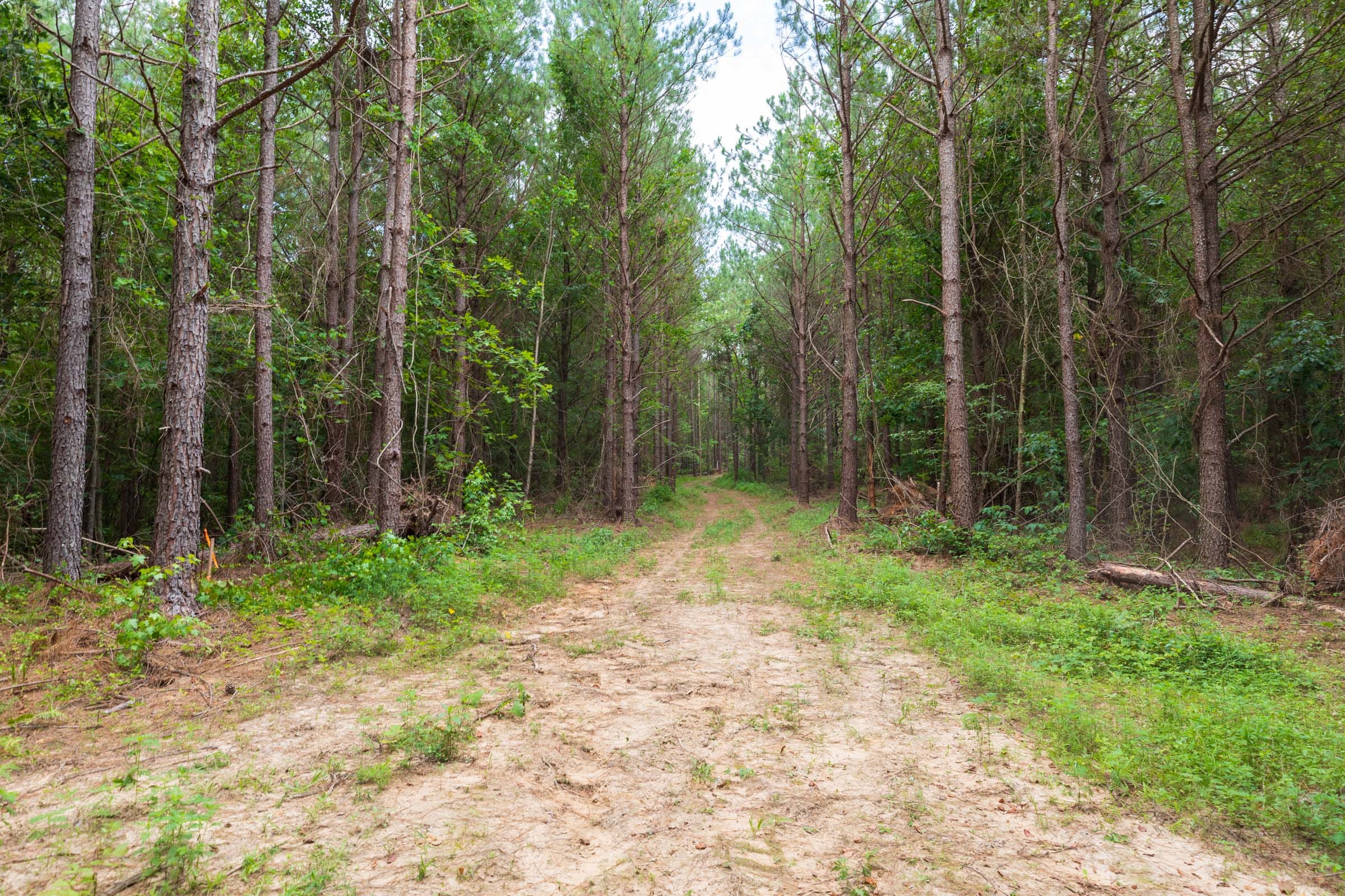 Whiskey Ridge Tract 34 photo 6