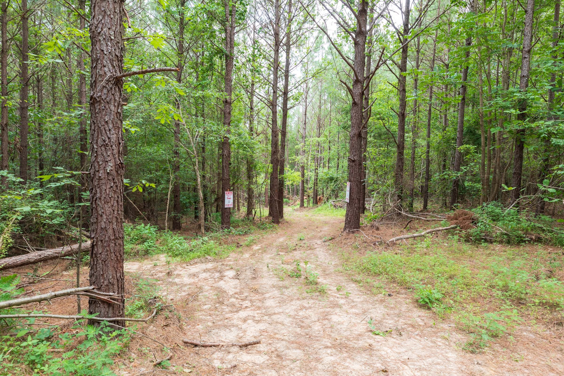 Whiskey Ridge Tract 34 photo 10