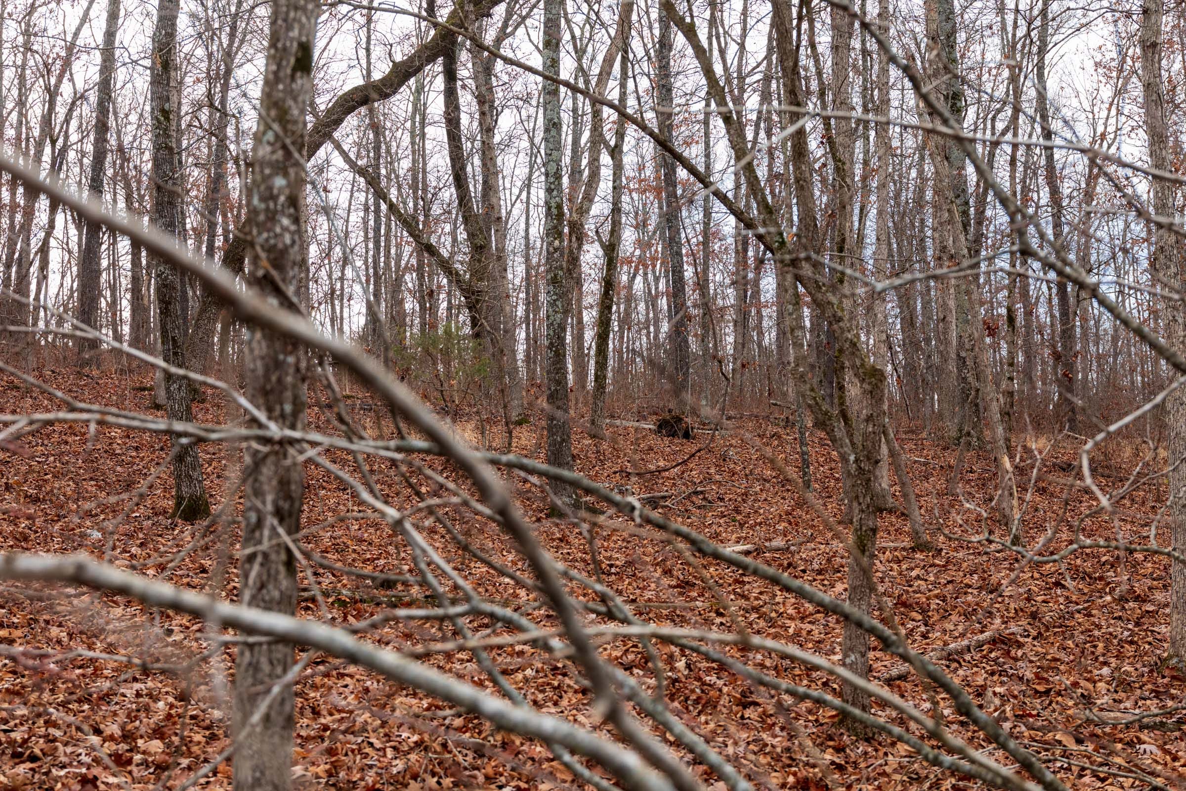 Crossroads Tract 30 photo 1