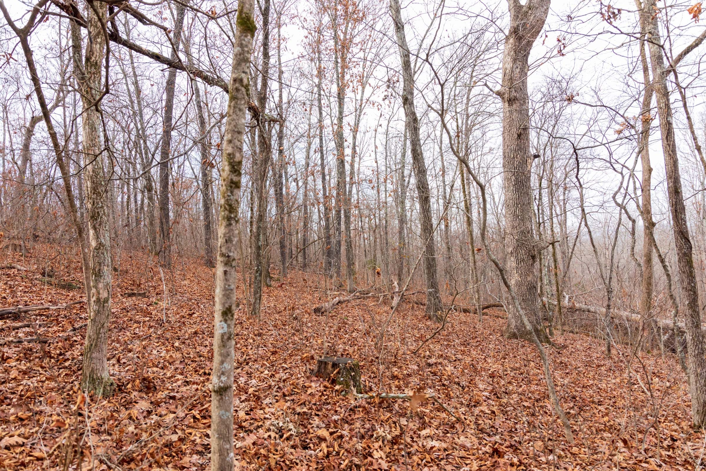 Crossroads Tract 30 photo 2