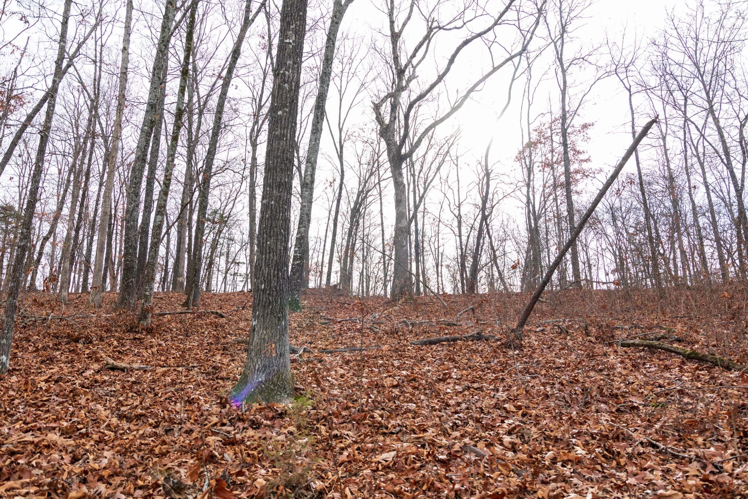 Crossroads Tract 30 photo 3