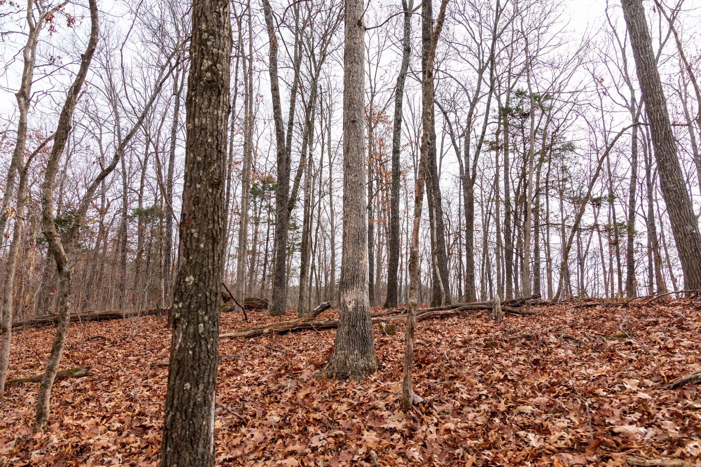 Crossroads Tract 30 photo 4