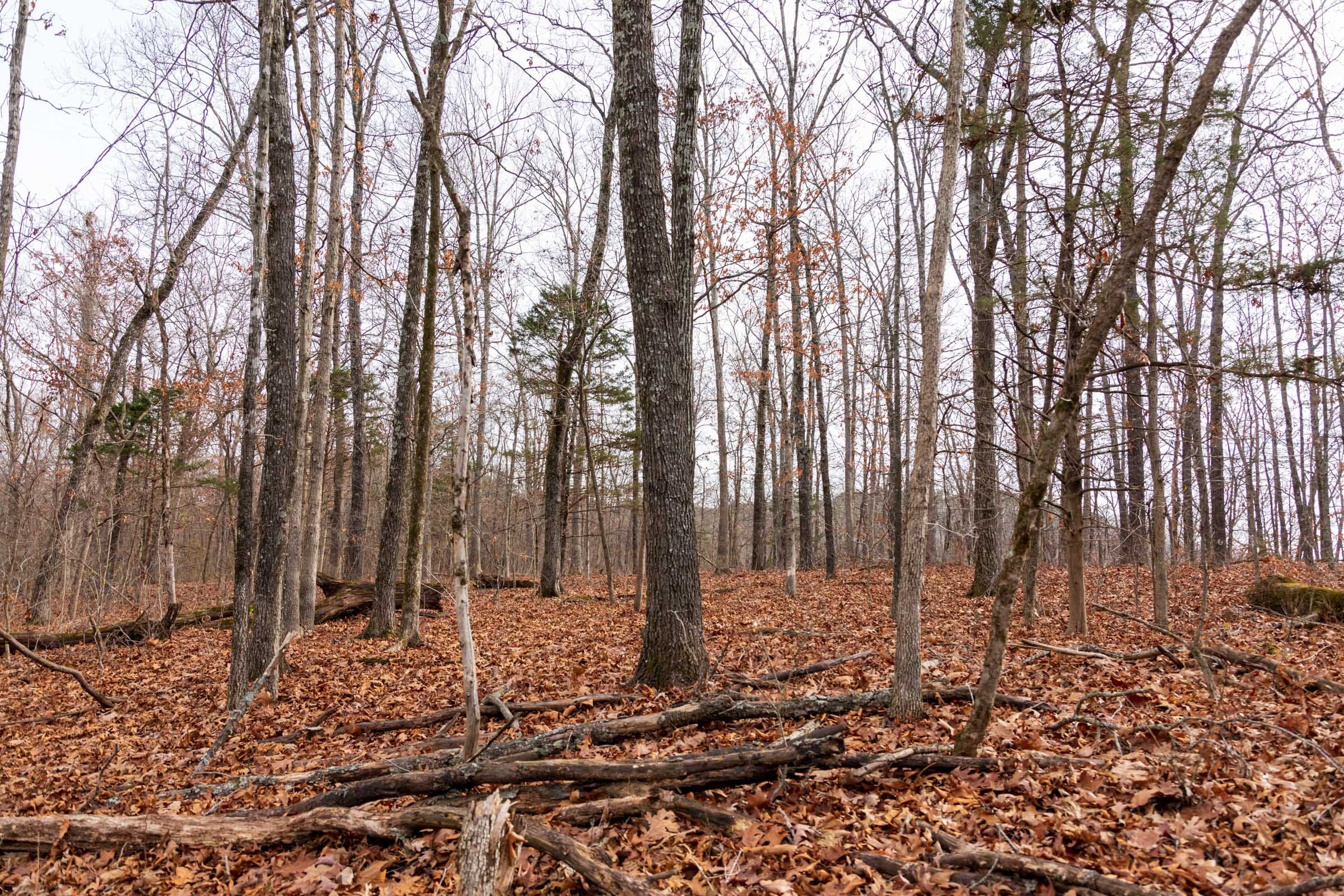 Crossroads Tract 30 photo 5