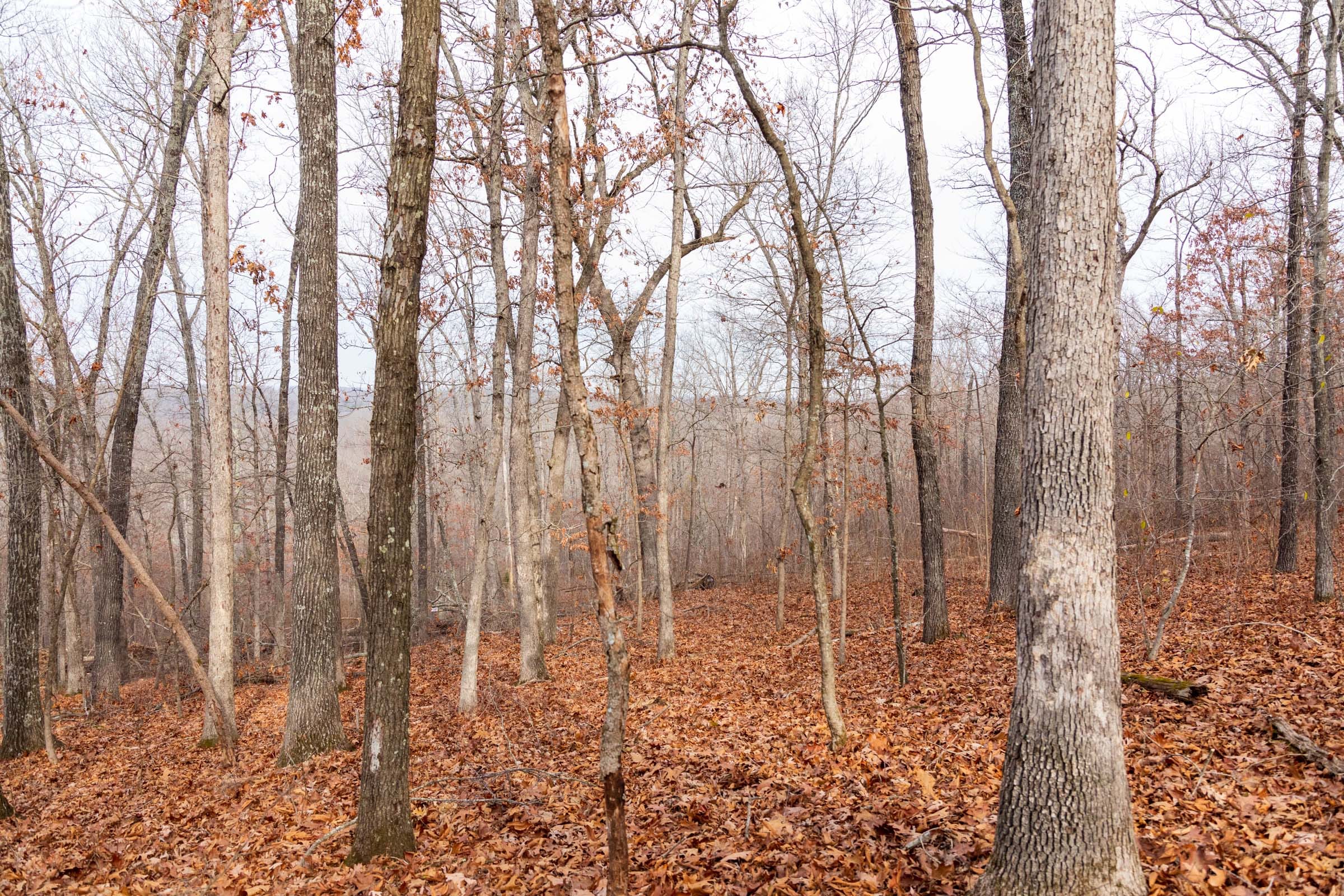 Crossroads Tract 30 photo 6