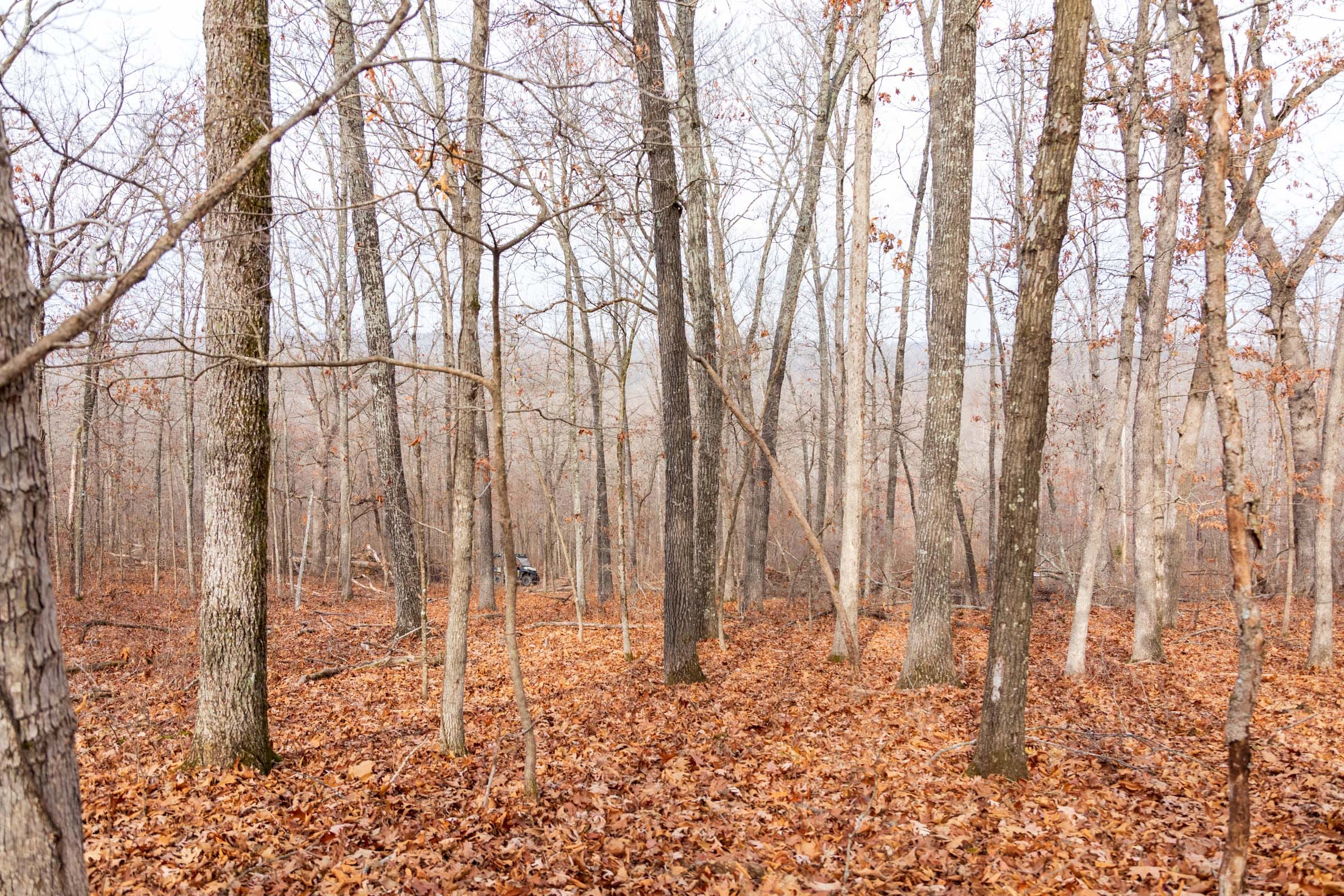 Crossroads Tract 30 photo 7