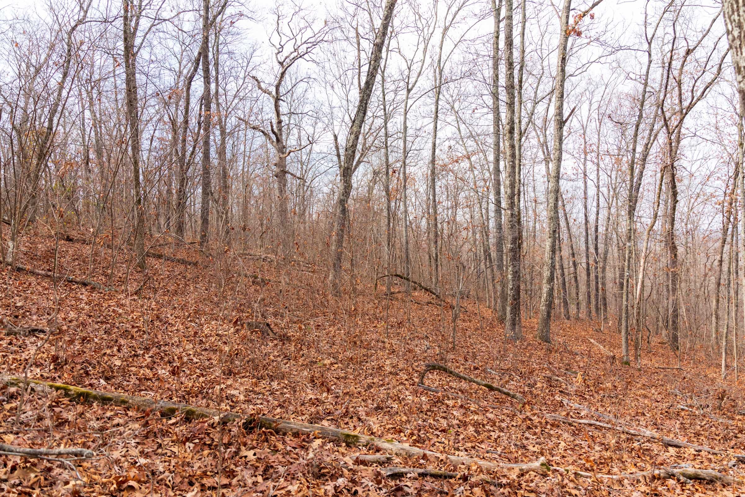 Crossroads Tract 30 photo 8