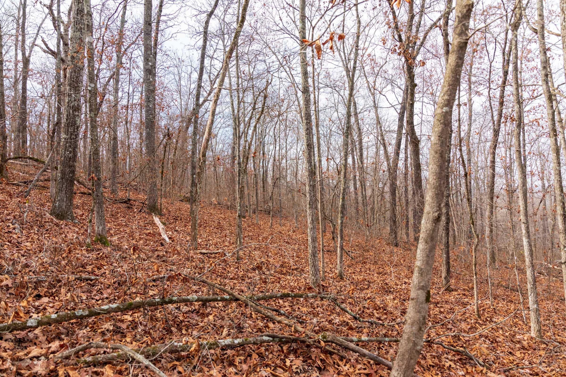 Crossroads Tract 30 photo 9