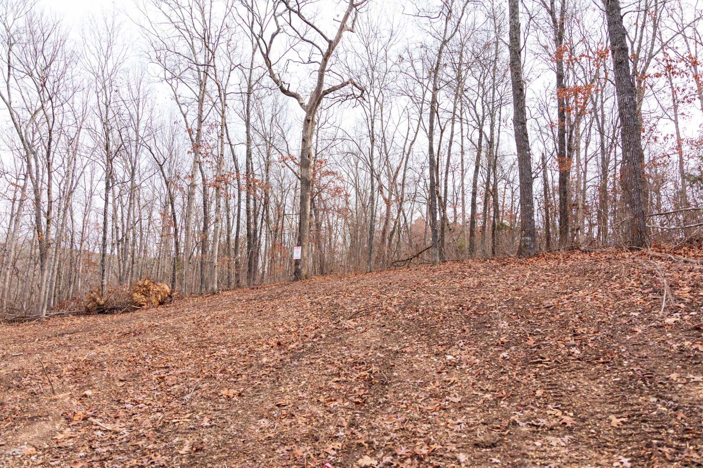 Crossroads Tract 30 photo 10