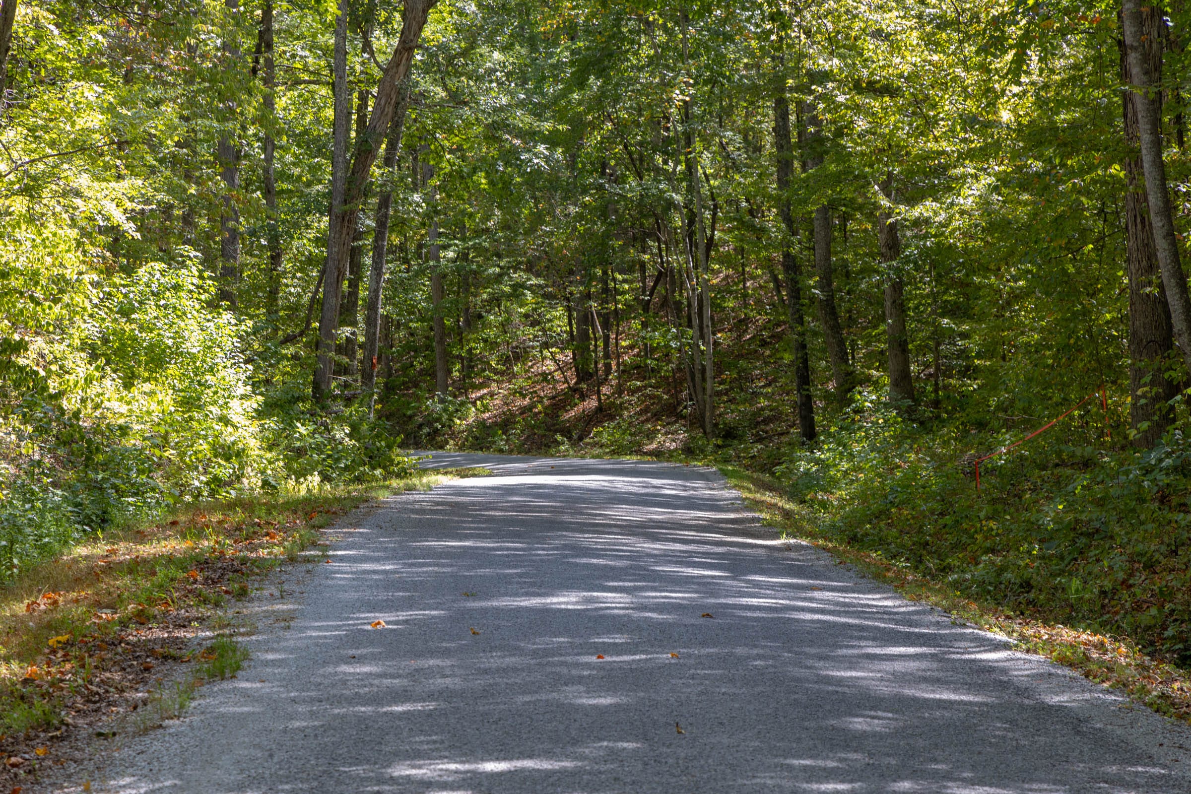 Big White Oak Tract 28 photo 3