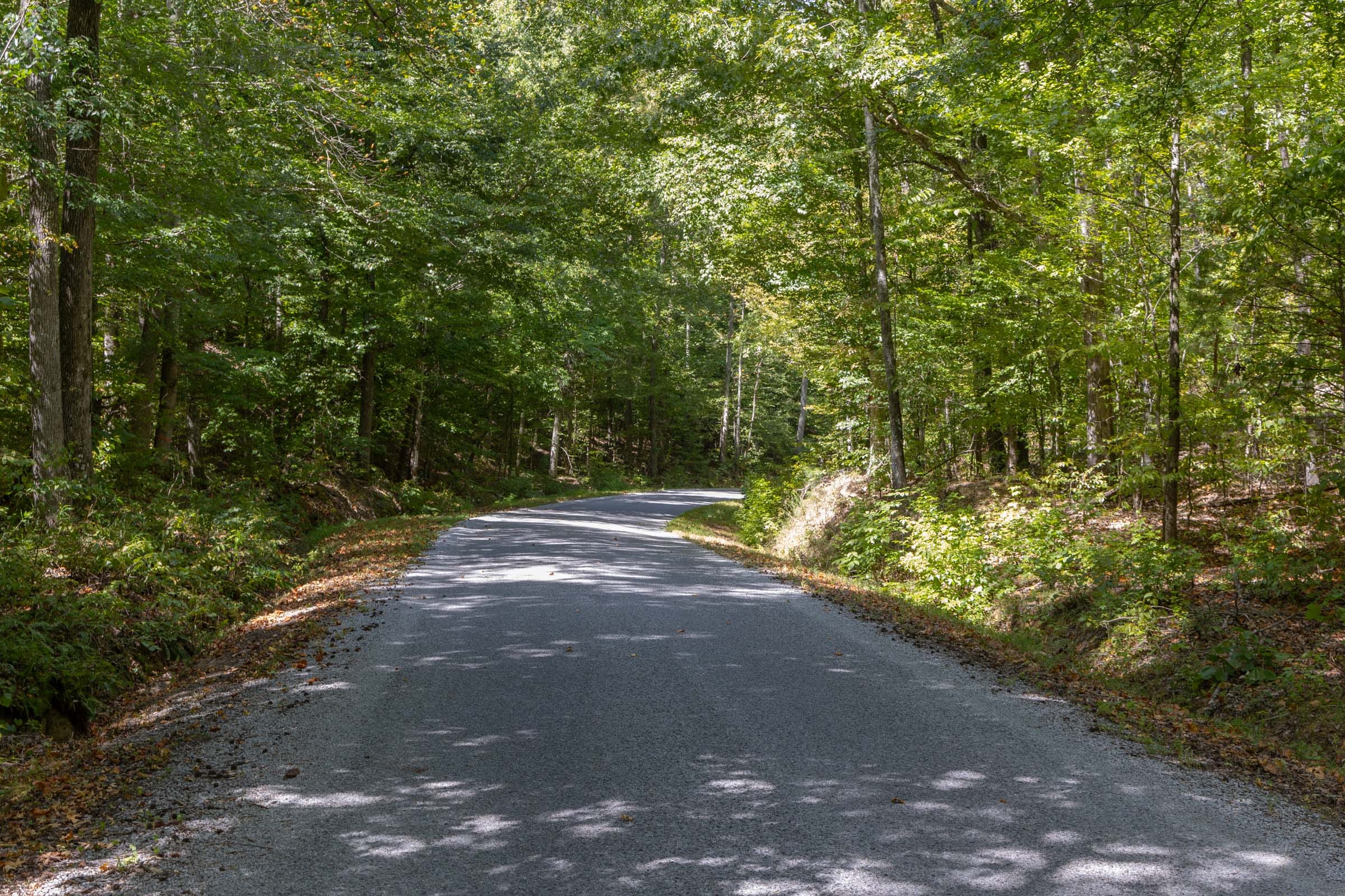 Big White Oak Tract 28 photo 1