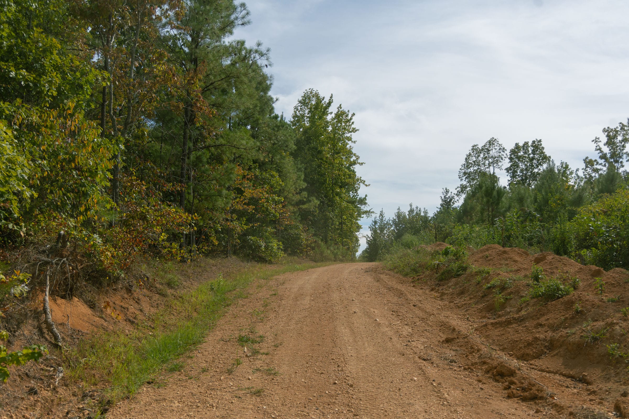 Big White Oak Tract 28 photo 8