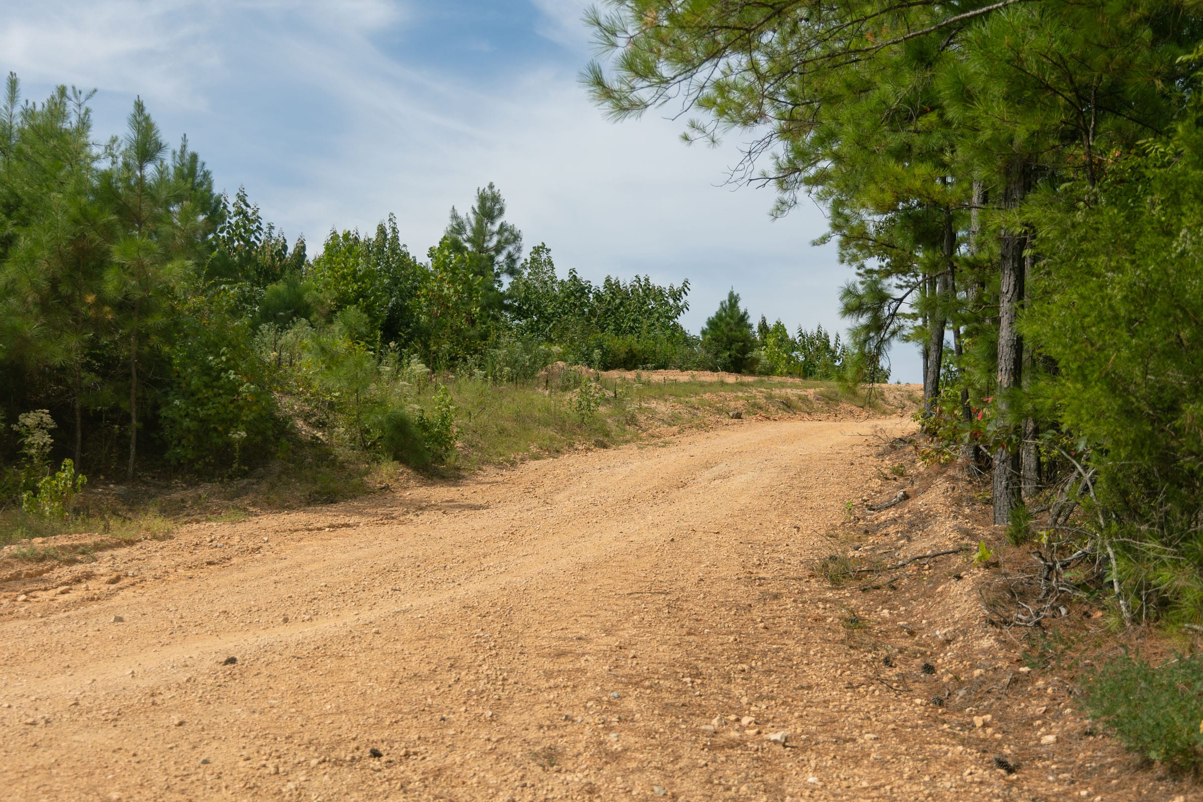 Big White Oak Tract 28 photo 6