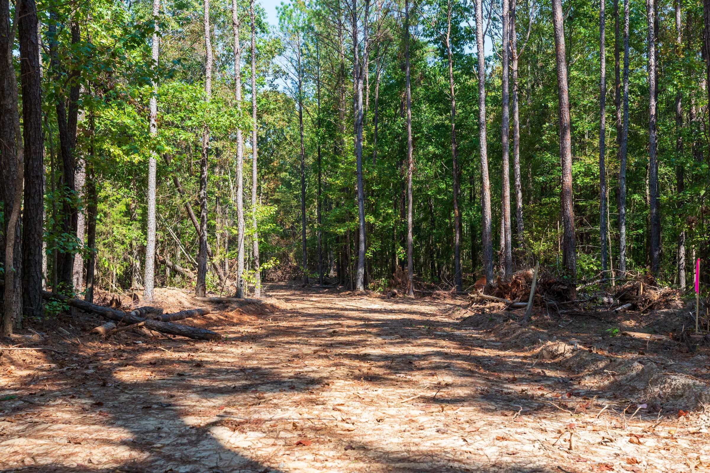 Willow Grove Tract 10 photo 1