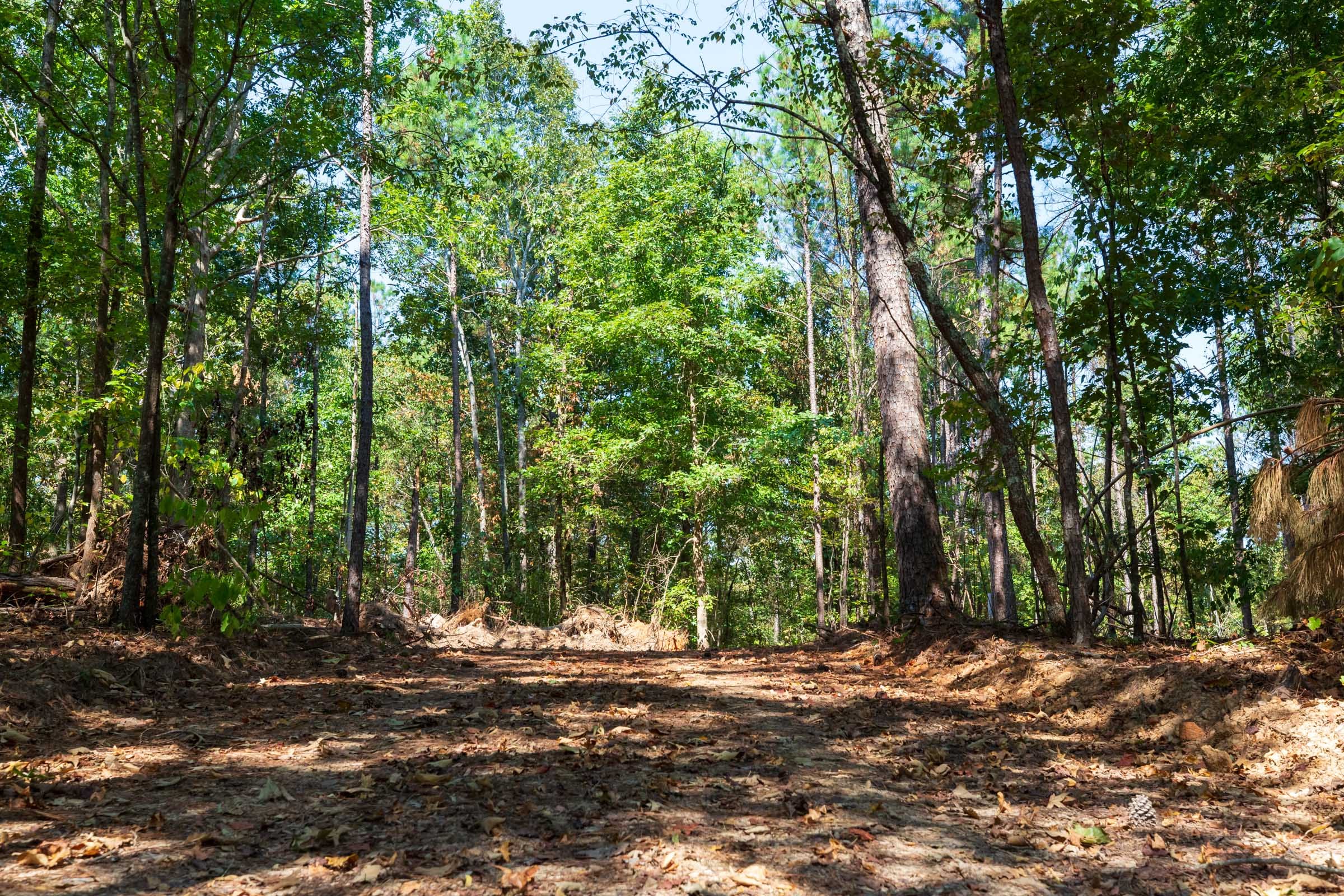 Willow Grove Tract 10 photo 4