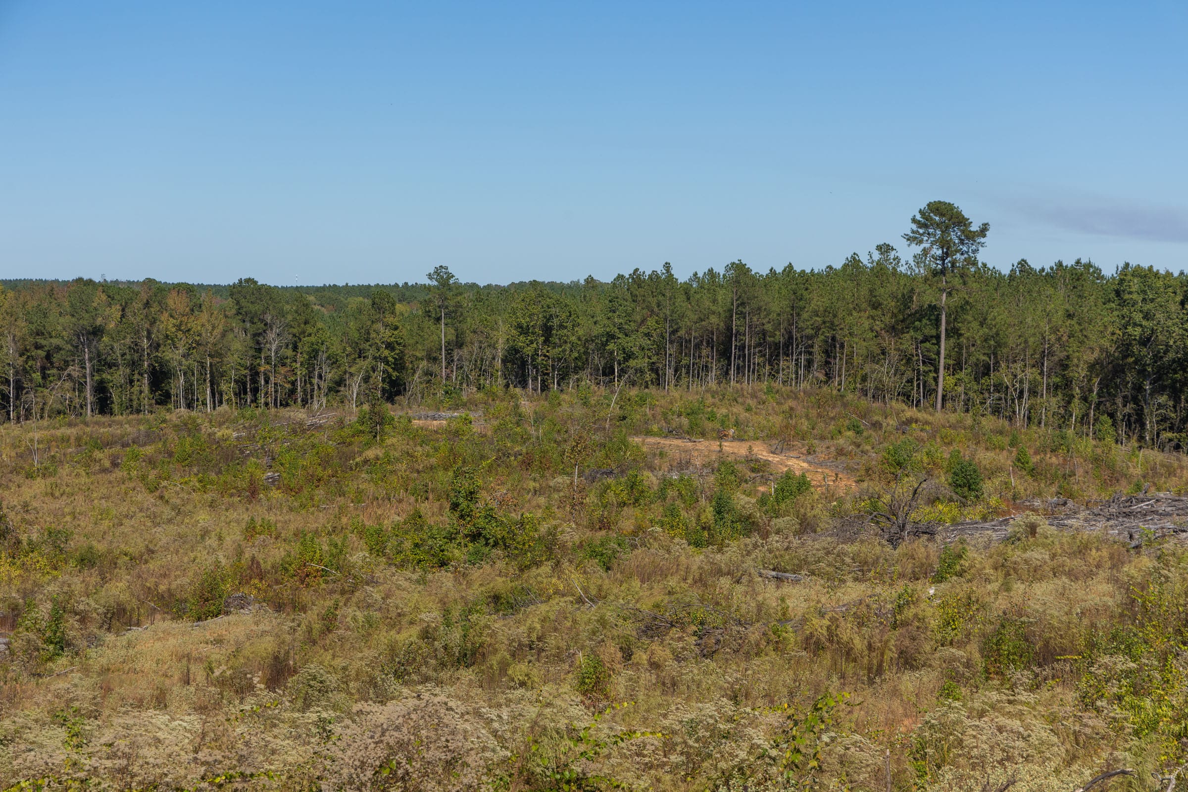 Meyer’s Ridge Tract 26 photo 13