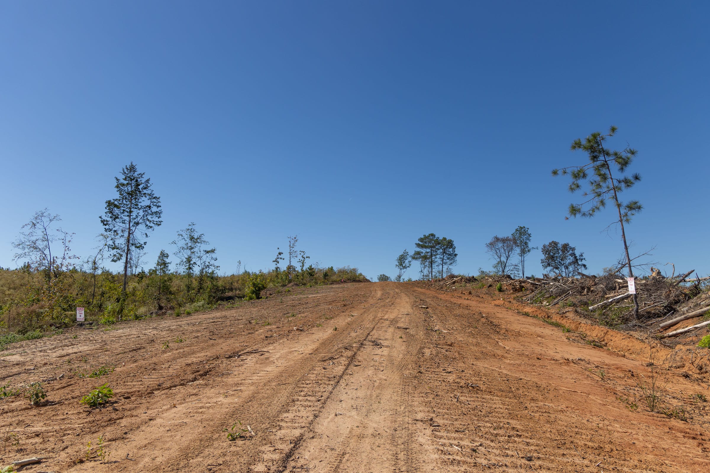 Meyer’s Ridge Tract 26 photo 12