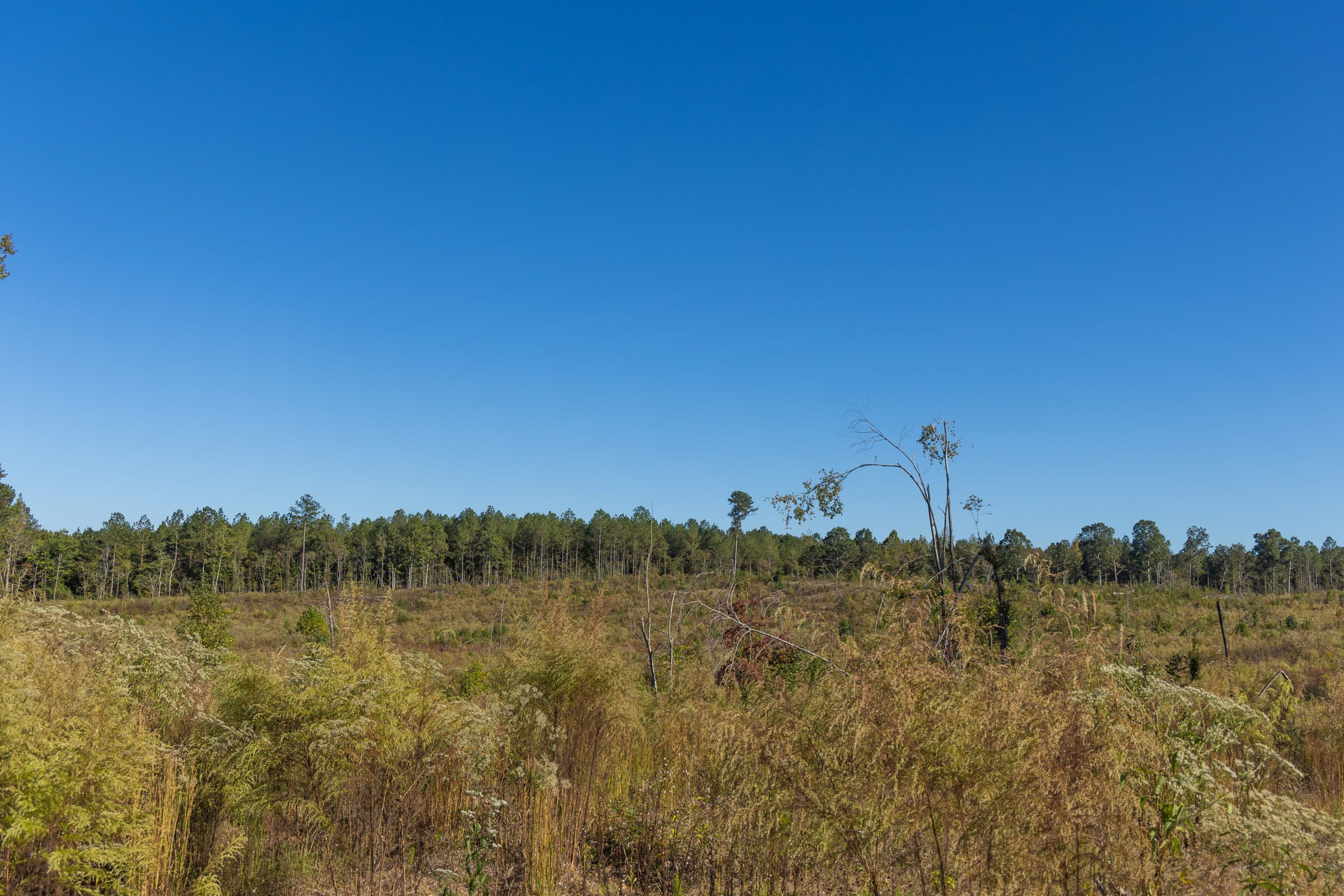 Meyer’s Ridge Tract 26 photo 11
