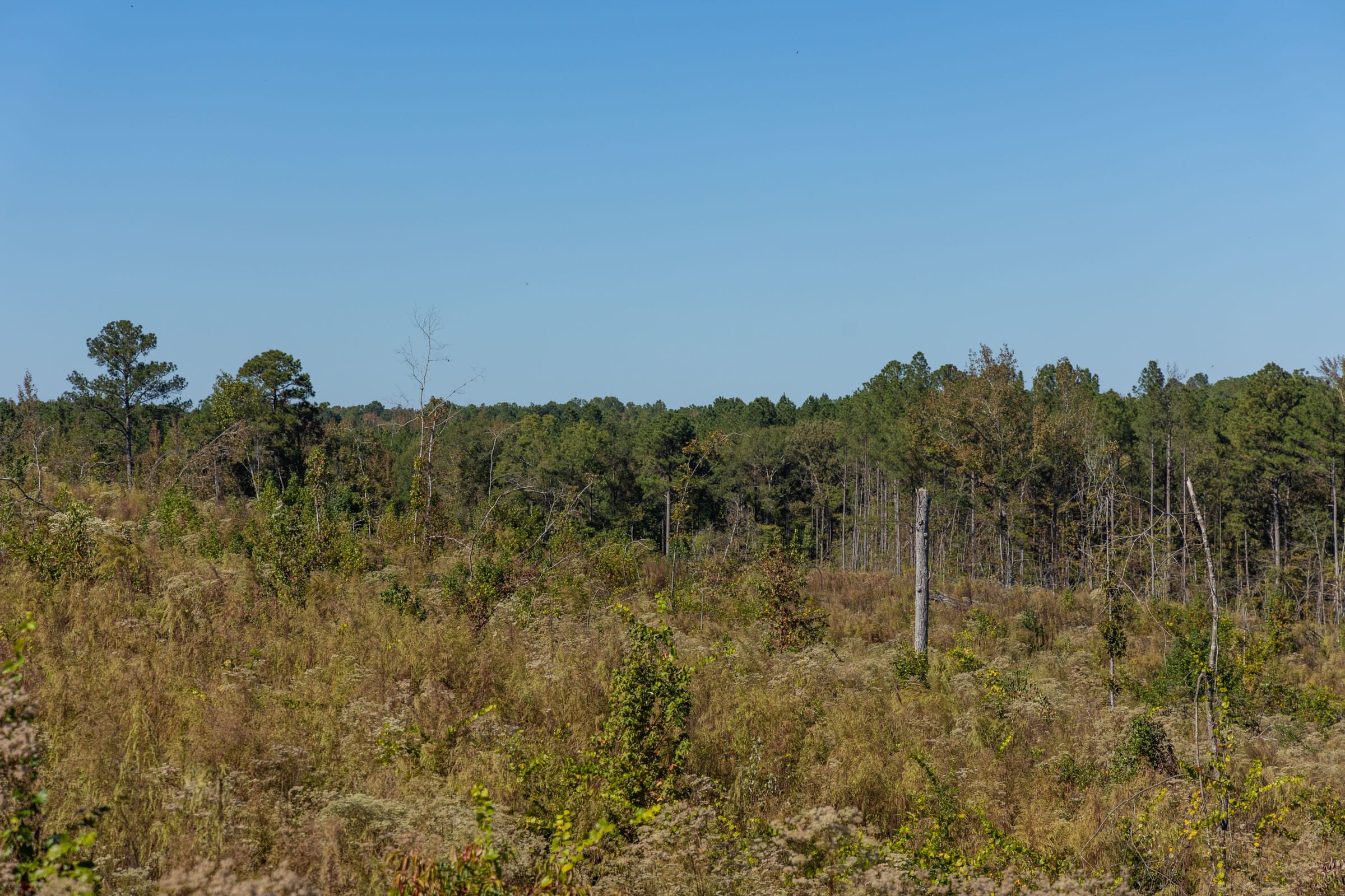 Meyer’s Ridge Tract 27 photo 9