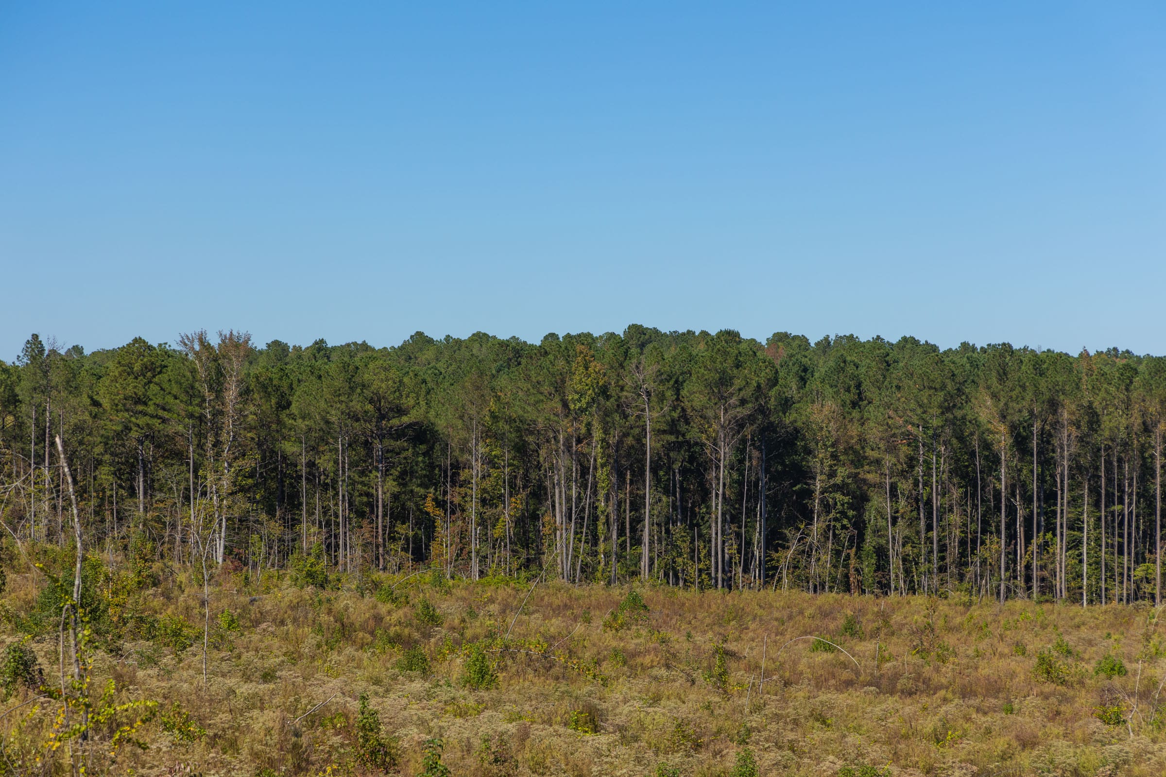 Meyer’s Ridge Tract 27 photo 6