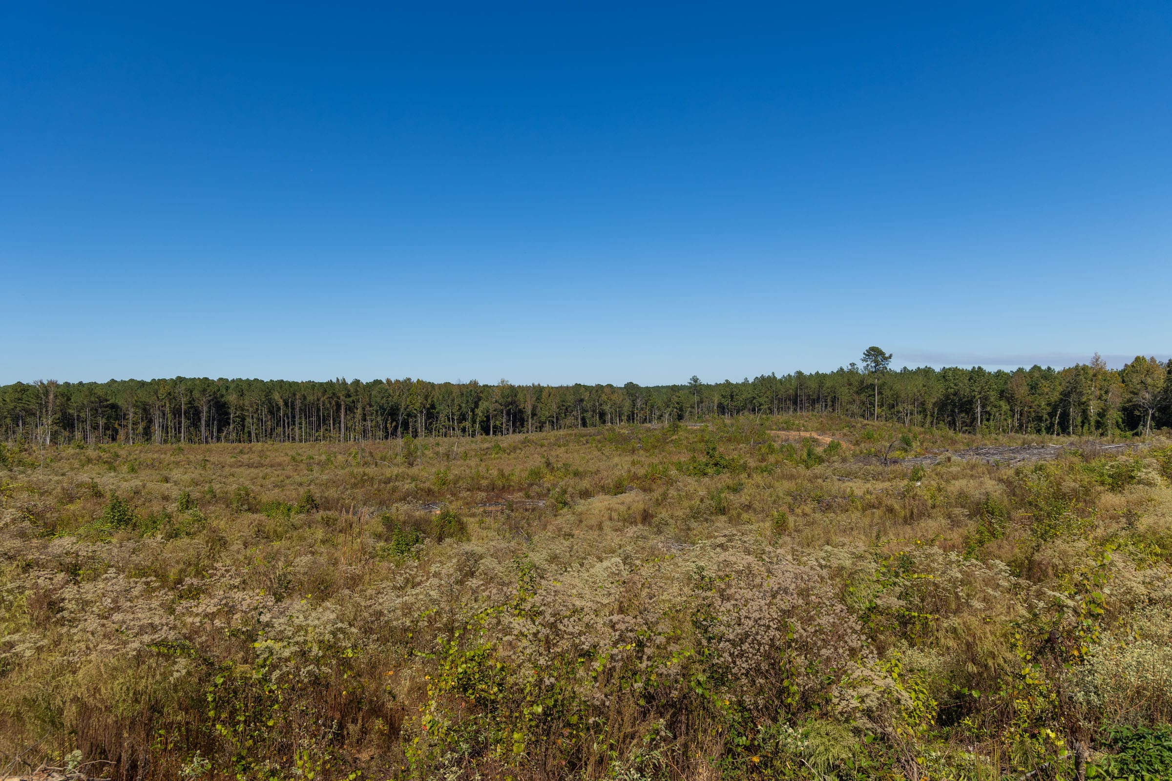 Meyer’s Ridge Tract 27 photo 5