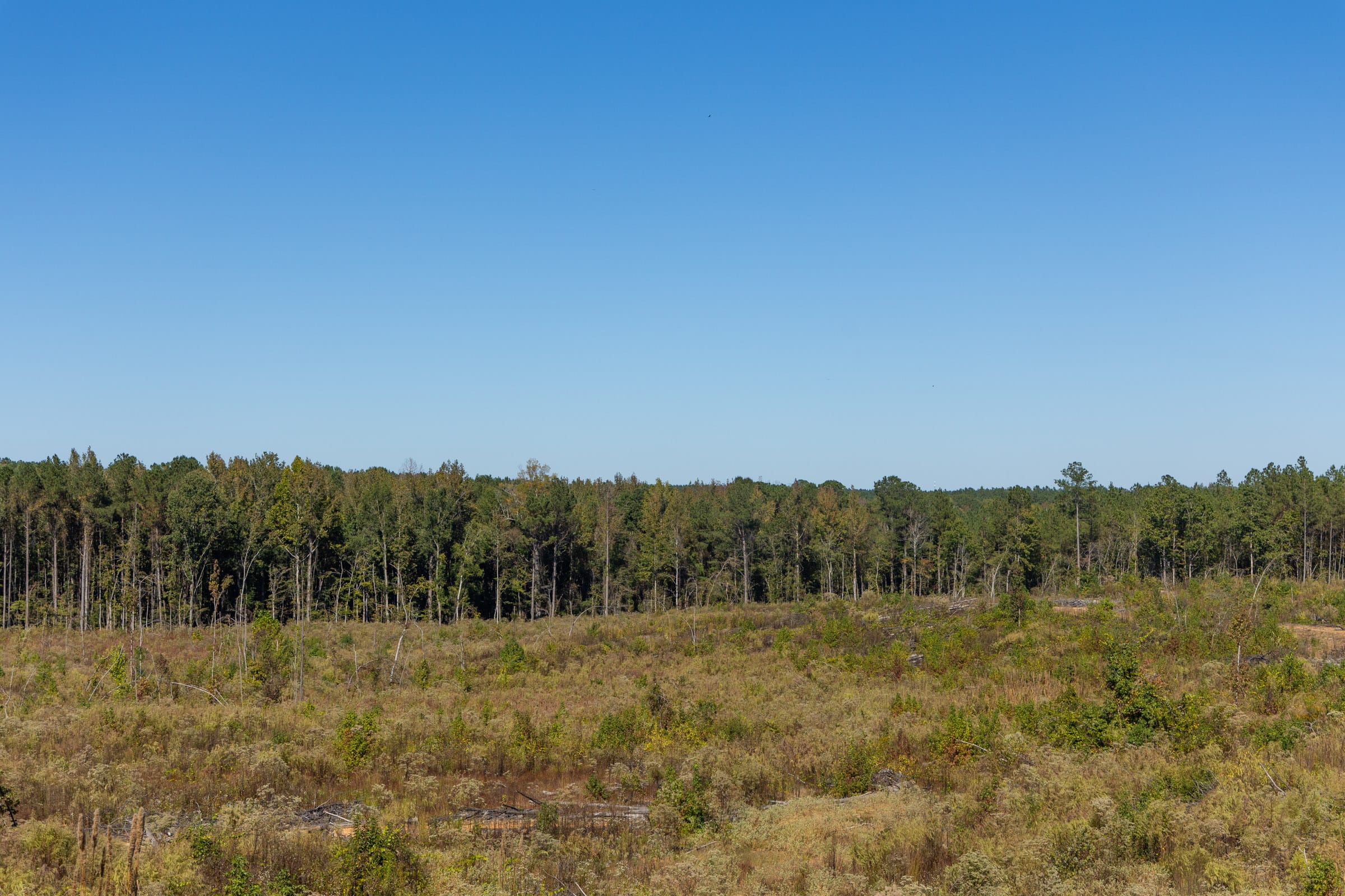 Meyer’s Ridge Tract 27 photo 4