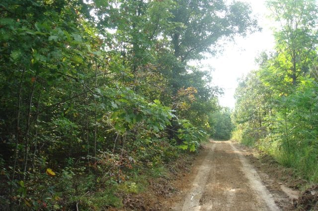 Sugartree Falls Tract 15 photo 1