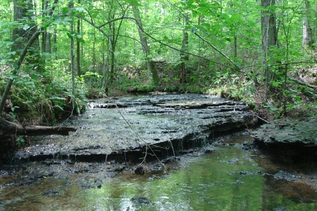 Sugartree Falls Tract 15 photo 3