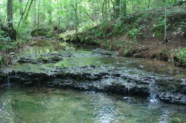 Sugartree Falls Tract 15 photo 2