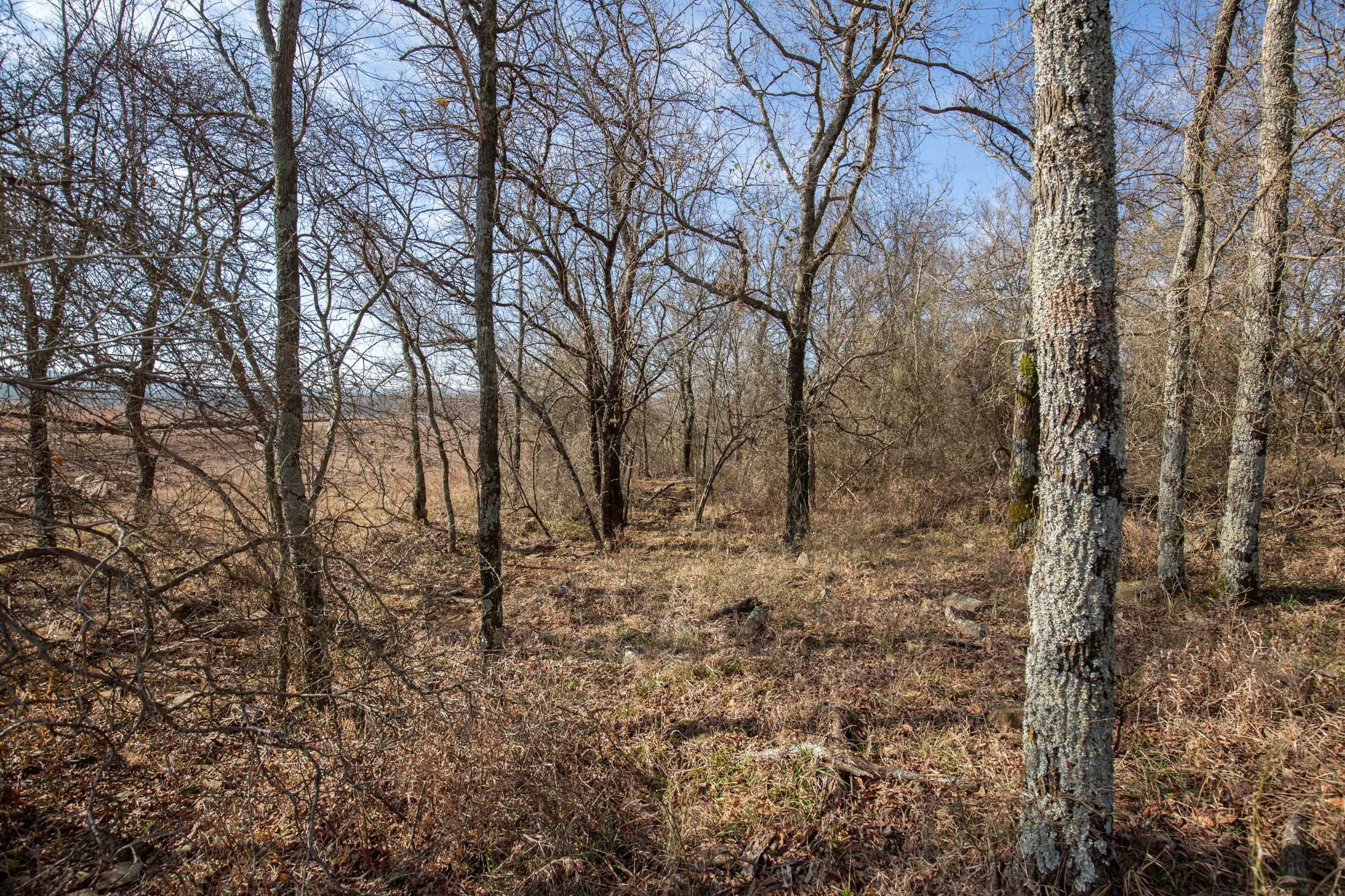 Painted Horse Tract 12 photo 3