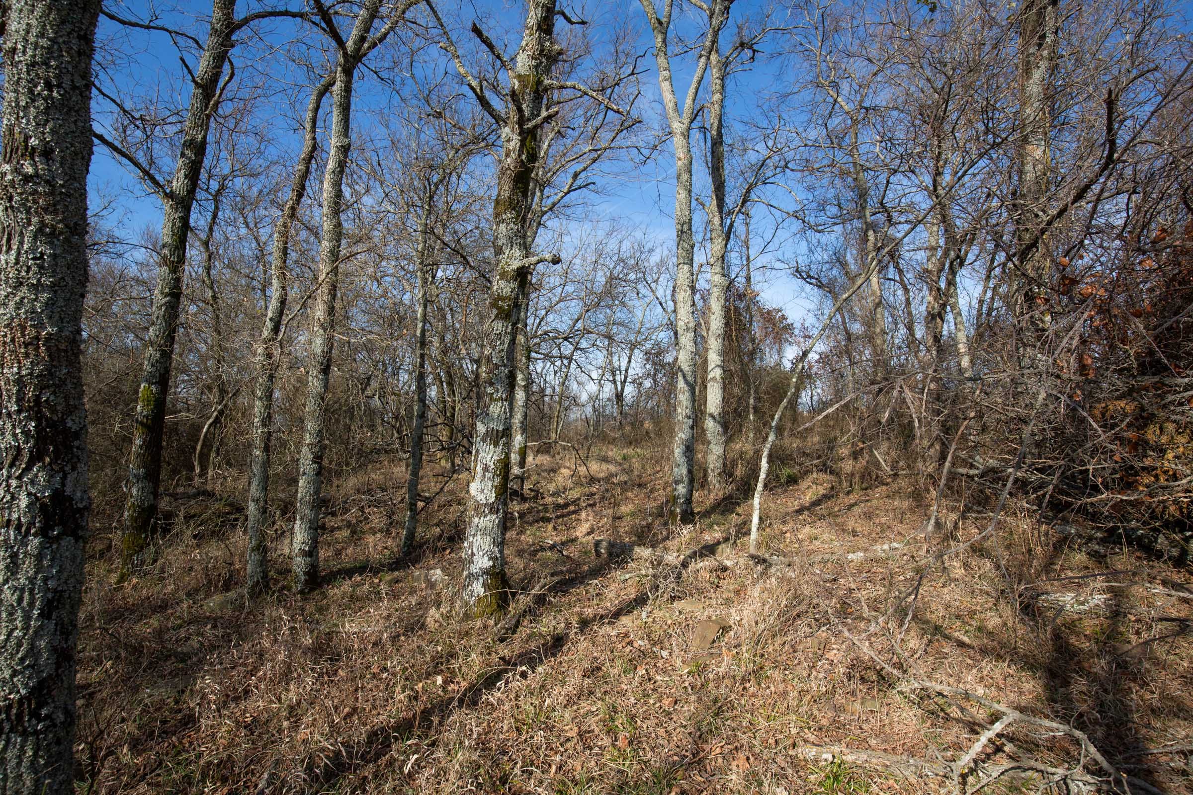 Painted Horse Tract 12 photo 2